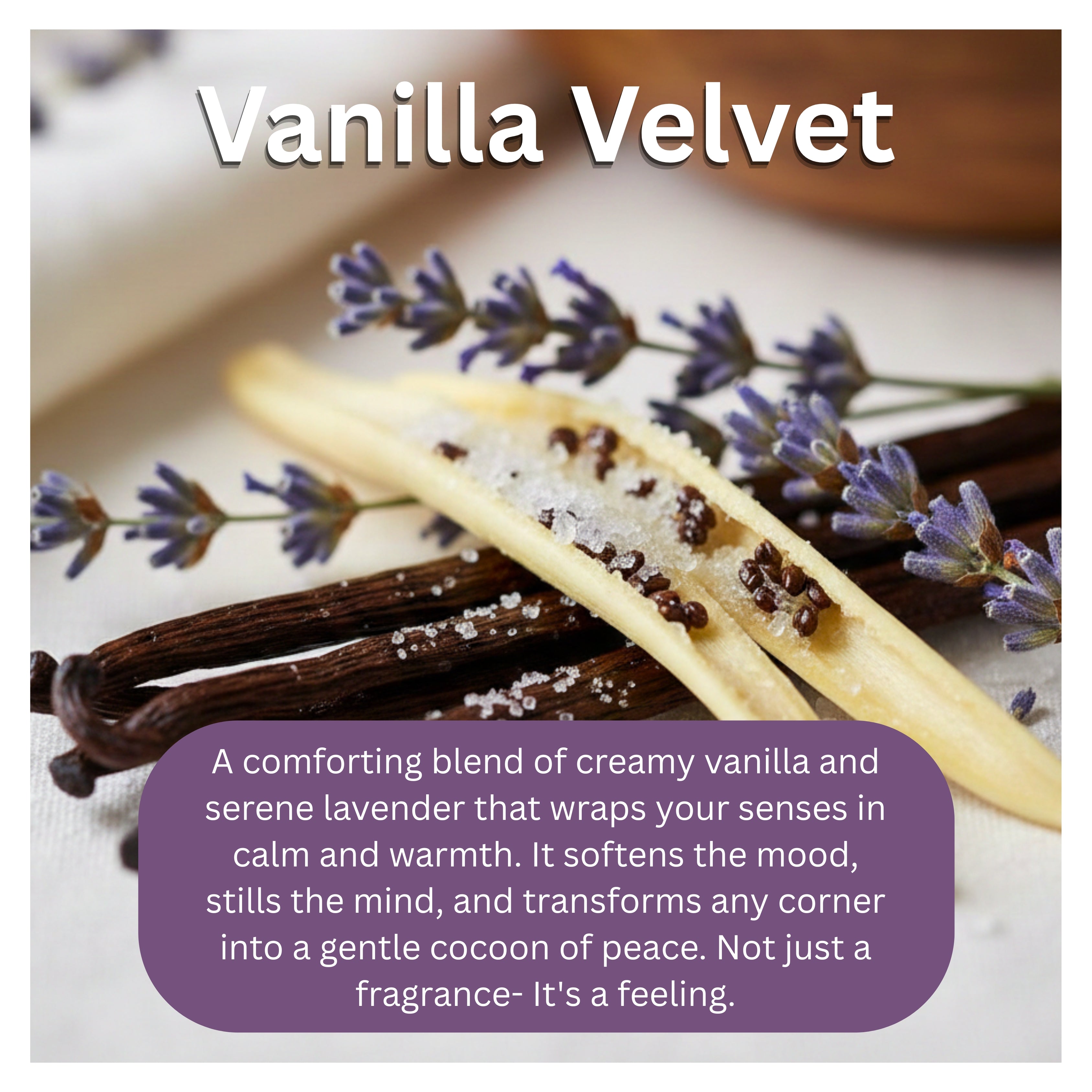 Ritual Reserve jar - Vanilla Velvet